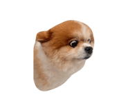 780722120