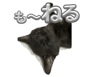 780727573