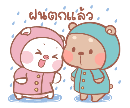 ลายที่ 29