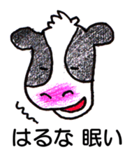 78107946