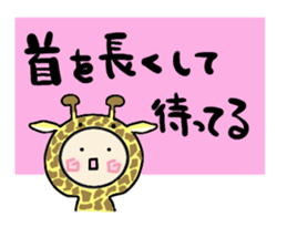 7811312