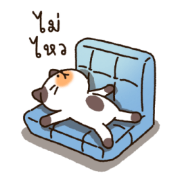 ลายที่ 11