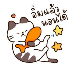 ลายที่ 43