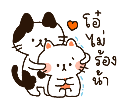 ลายที่ 40