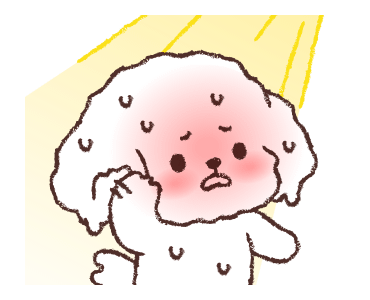 Sechon Is Going On A Trip! รูปที่ 21