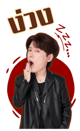 ลายที่ 29