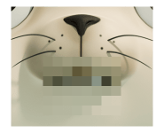 781135160