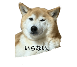 781260010