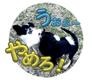 781313242
