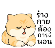 781339207