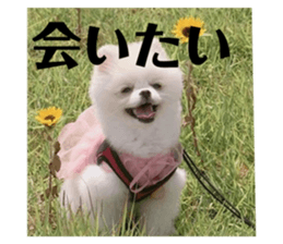 78148187