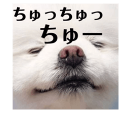 78148245