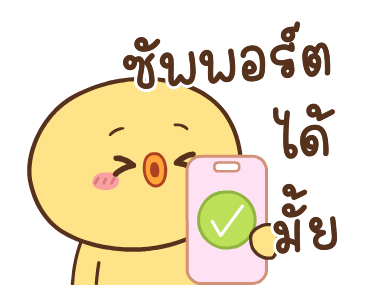 ลายที่ 11