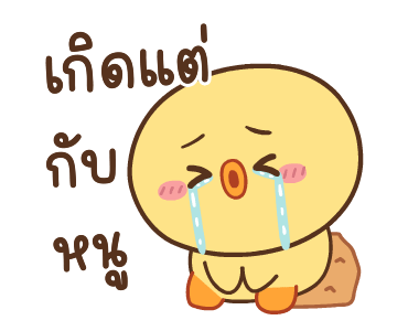 ลายที่ 29