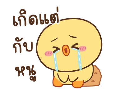 หมูตุ๋นกับเจ้าเจี๊ยบ ดุ๊กดิ๊ก 8 รูปที่ 15