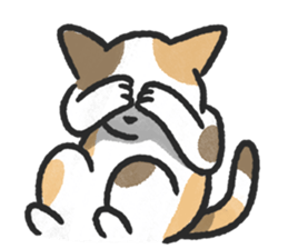 ลายที่ 3