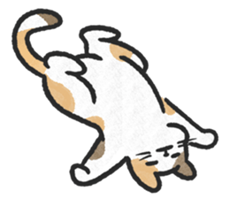 ลายที่ 7