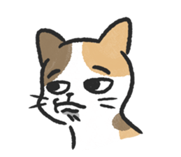 ลายที่ 13