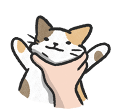 ลายที่ 17