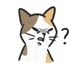 ลายที่ 19