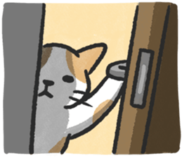 ลายที่ 23