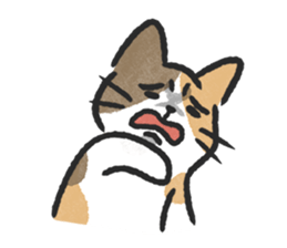 ลายที่ 33