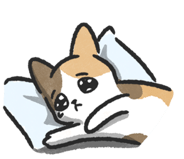 ลายที่ 35