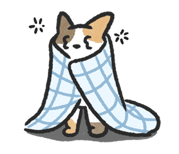 ลายที่ 41