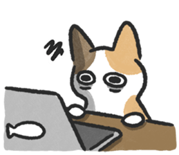 ลายที่ 45