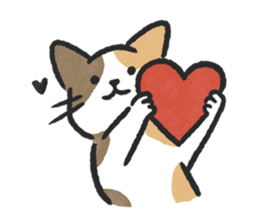 ลายที่ 47