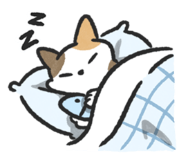 ลายที่ 57