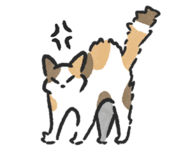 ลายที่ 61