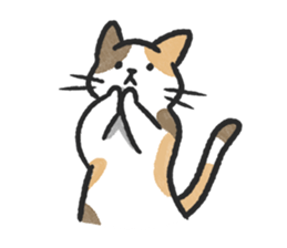 ลายที่ 67