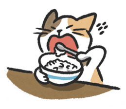 ลายที่ 71