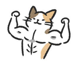 ลายที่ 73