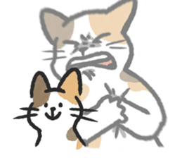 ลายที่ 79