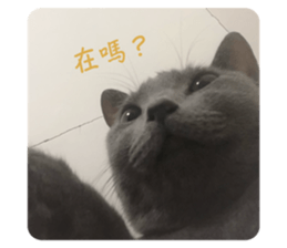 781513769