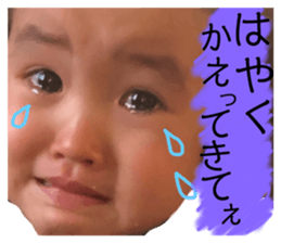 78175550