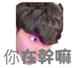 781804545