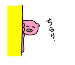 78195464