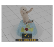 781982555