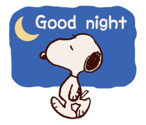 Snoopy รวมหลากหลายรุ่น! รูปที่ 24