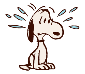 Snoopy รวมหลากหลายรุ่น! รูปที่ 28