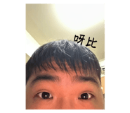 782233687