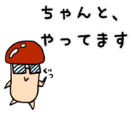 78224426
