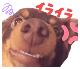 782359848