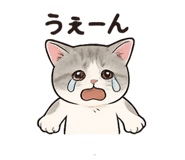 782360029