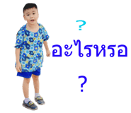 78238611