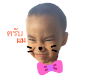 78238612