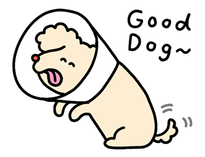 ลายที่ 7